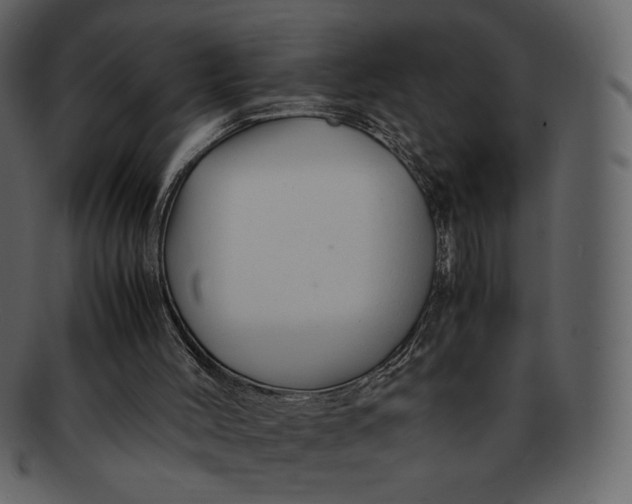 X0000092280004200710051152