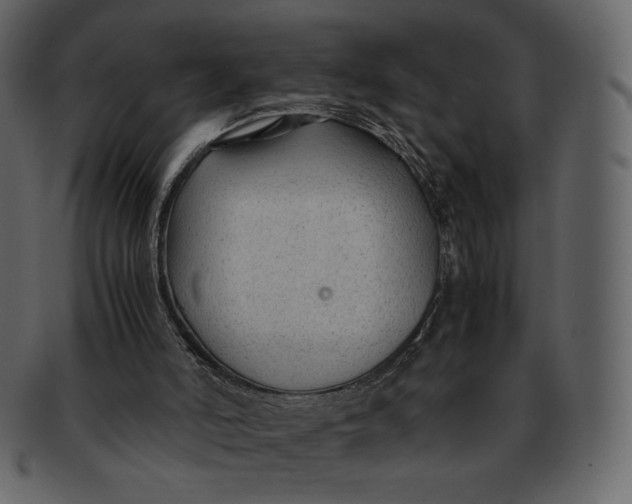 X0000092280006200710051152