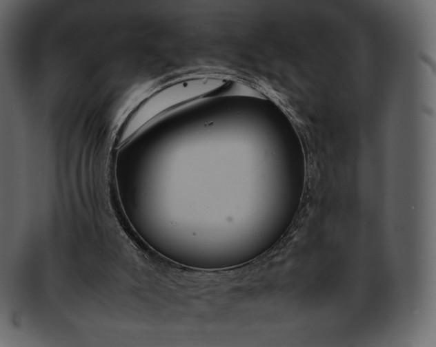 X0000092280007200710051152