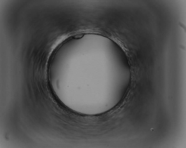 X0000092280008200710051152