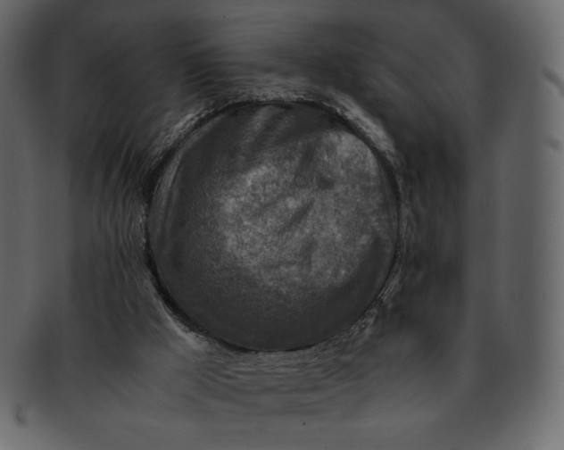 X0000092280009200710051152