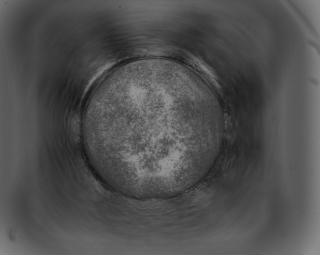 X0000092280012200710051152