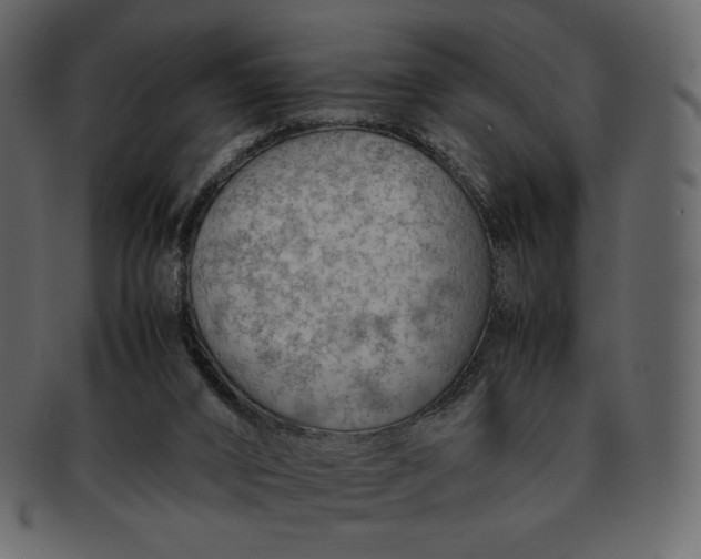 X0000092280016200710051152
