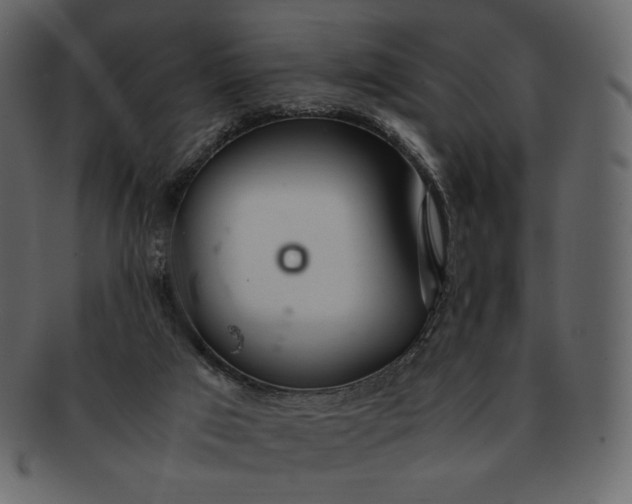 X0000092280017200710051152
