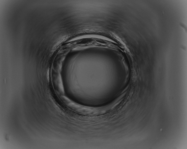 X0000092280019200710051152