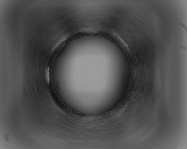 X0000092280020200710051152