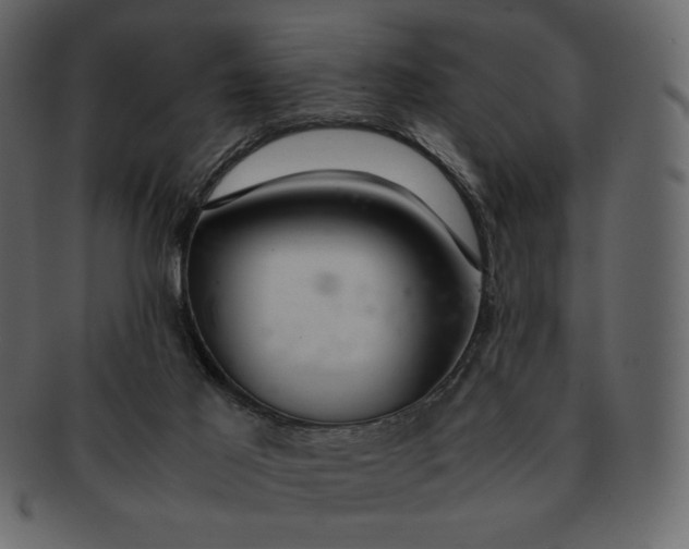 X0000092280021200710051152