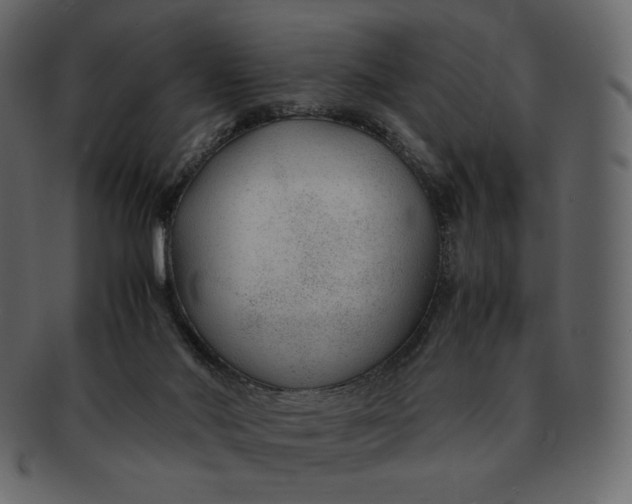 X0000092280022200710051152