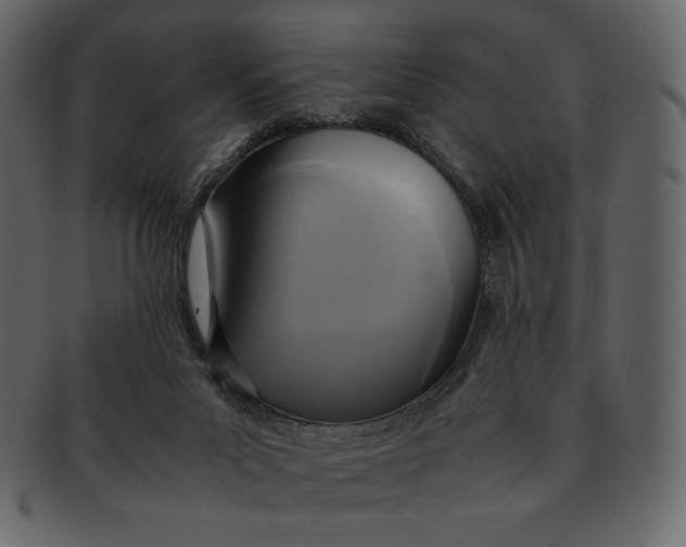 X0000092280023200710051152