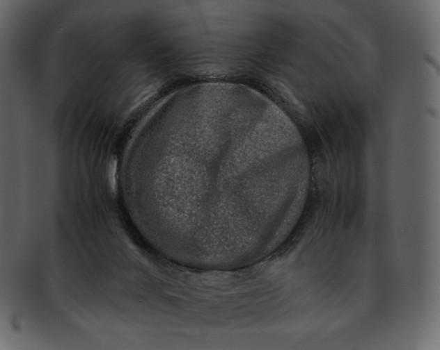 X0000092280024200710051152