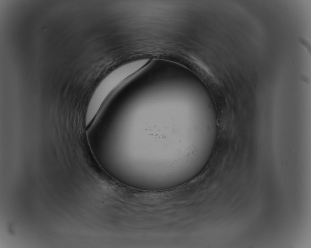 X0000092280025200710051152