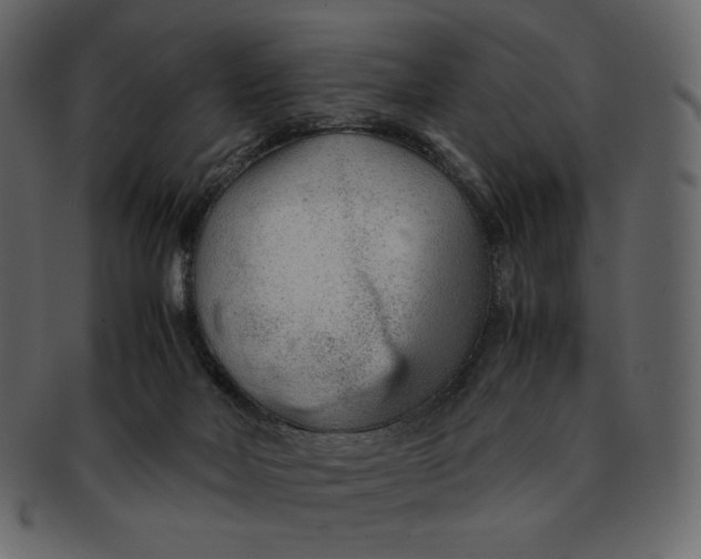 X0000092280026200710051152