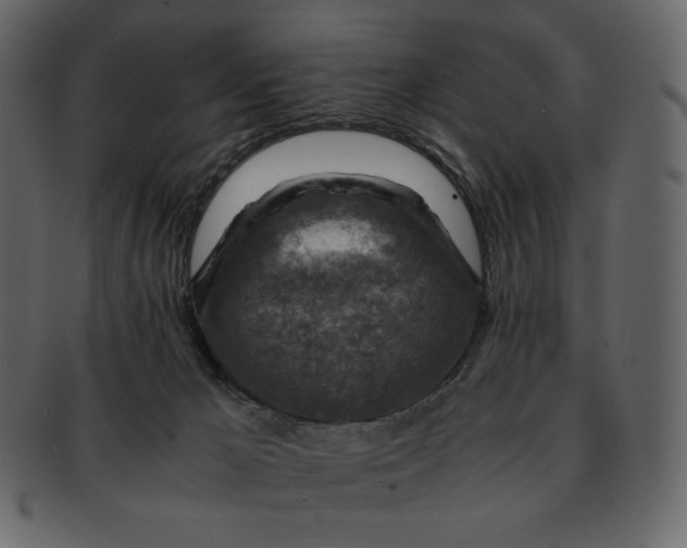 X0000092280029200710051152