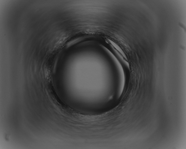 X0000092280031200710051152