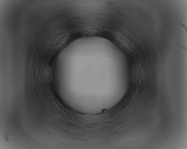 X0000092280034200710051151