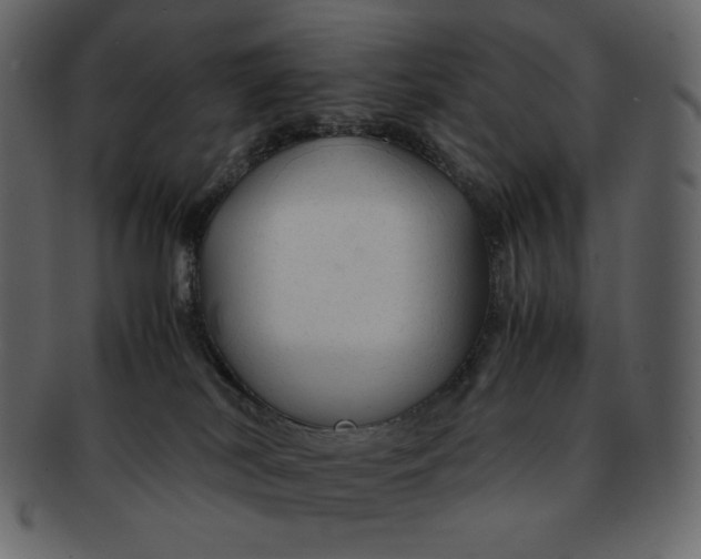 X0000092280038200710051151