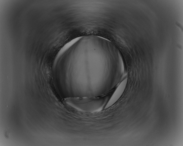 X0000092280039200710051151