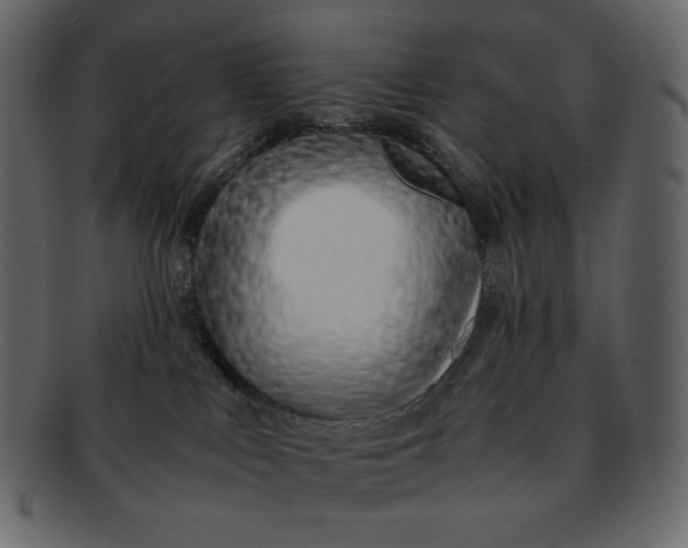 X0000092280043200710051151