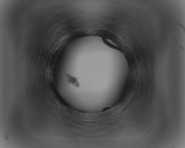 X0000092280044200710051151