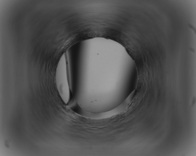 X0000092280045200710051151