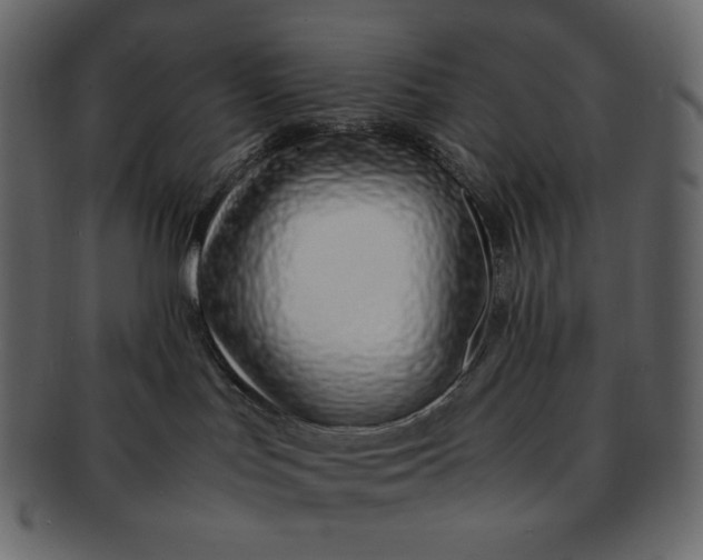 X0000092280047200710051151