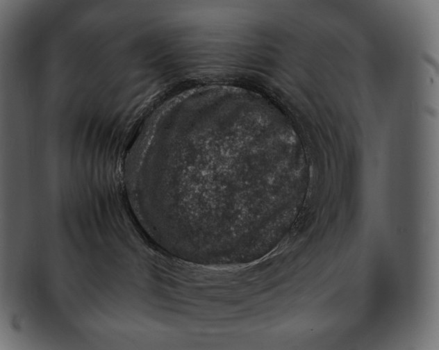 X0000092280048200710051151