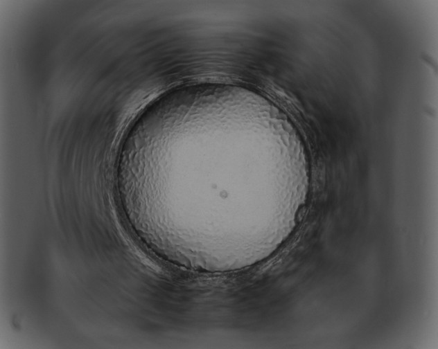 X0000092280049200710051151