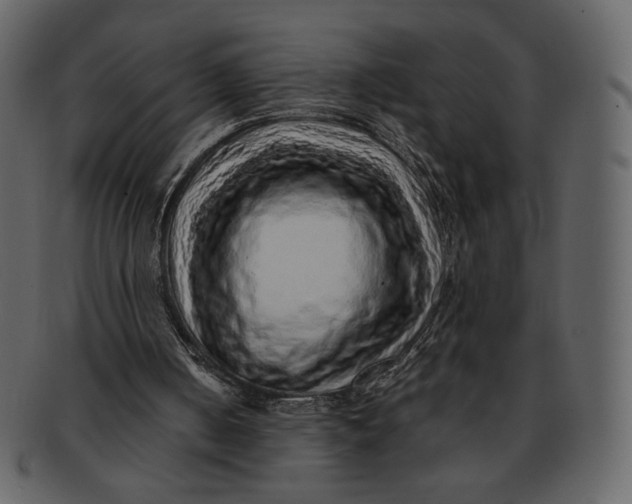 X0000092280050200710051151