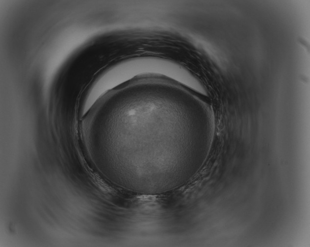 X0000092280052200710051151