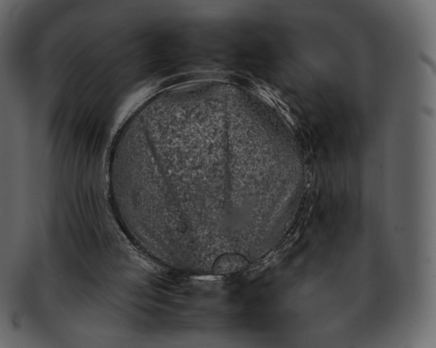 X0000092280053200710051151