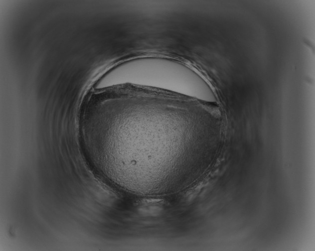 X0000092280055200710051151