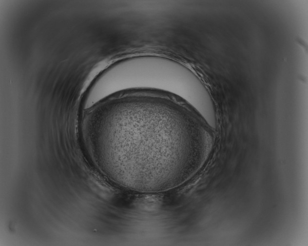 X0000092280056200710051151