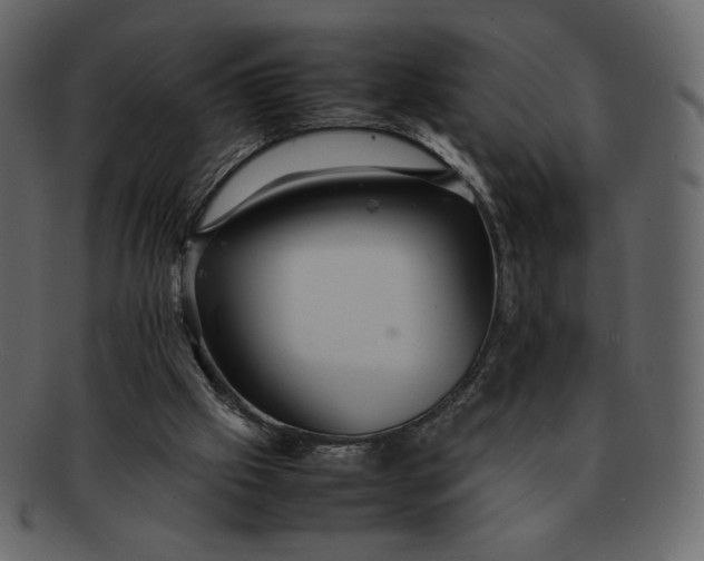 X0000092280057200710051151