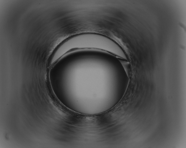 X0000092280060200710051151