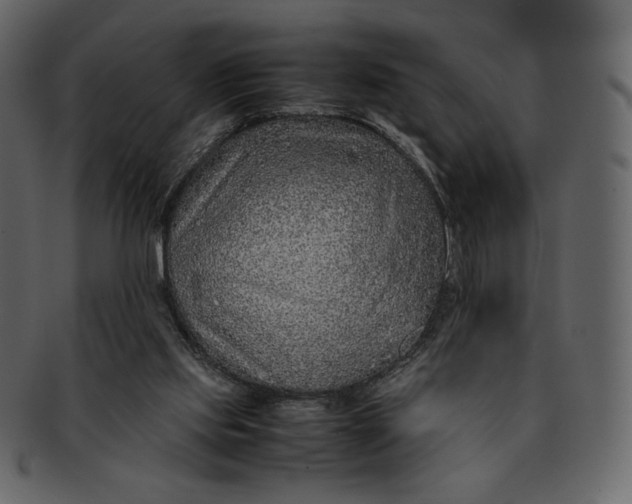 X0000092280061200710051151