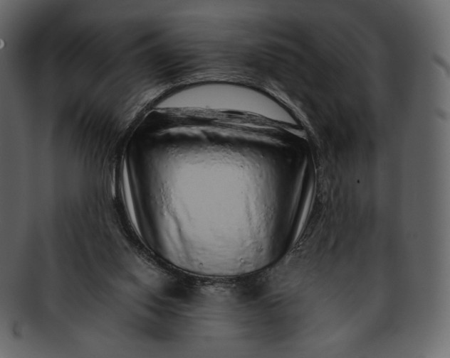 X0000092280062200710051151