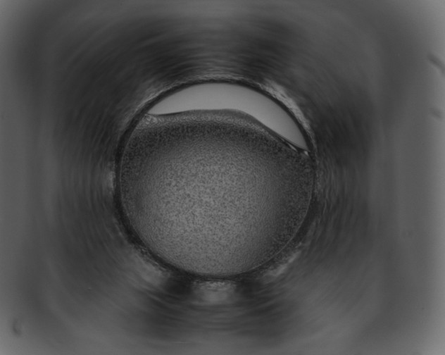 X0000092280063200710051151