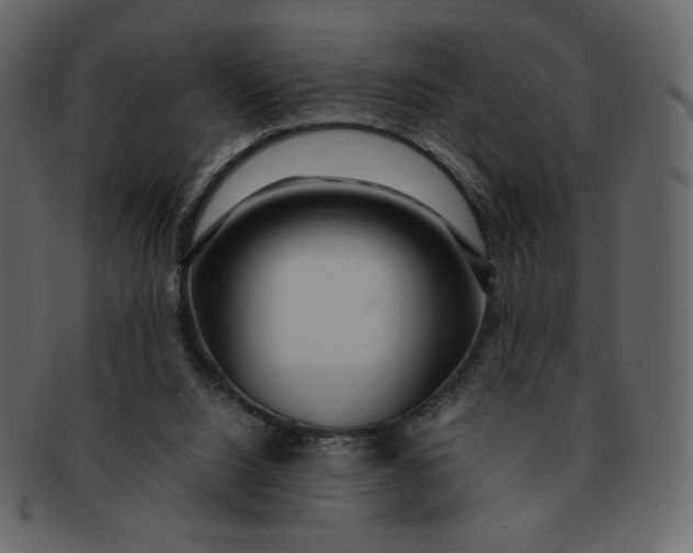 X0000092280064200710051151