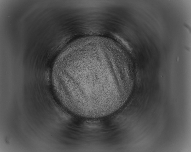 X0000092280065200710051151