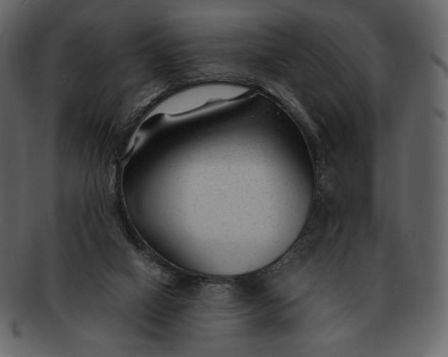 X0000092280066200710051151