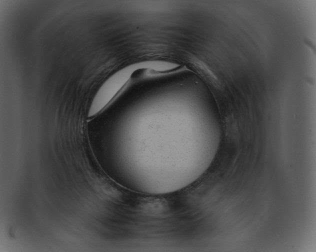 X0000092280073200710051151