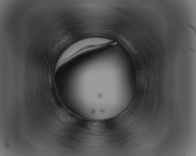X0000092280074200710051151
