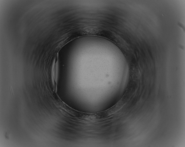 X0000092280075200710051151