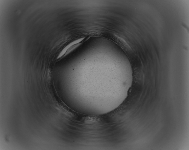 X0000092280077200710051151