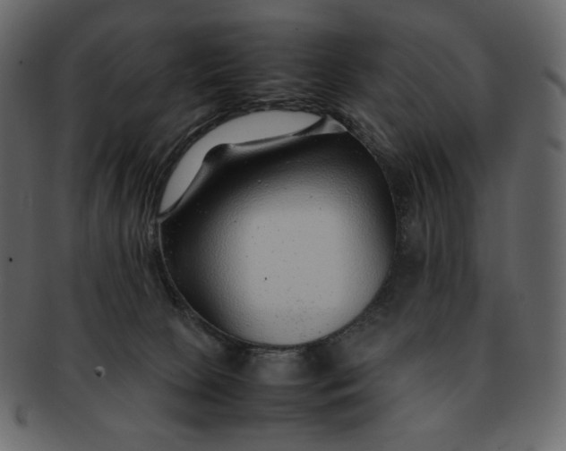 X0000092280081200710051151