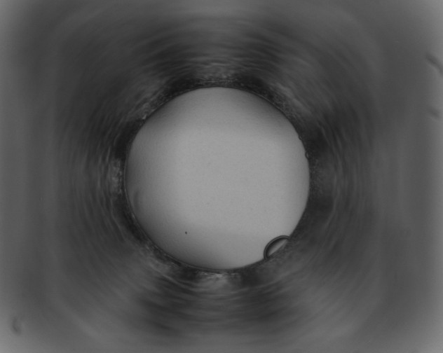 X0000092280083200710051151