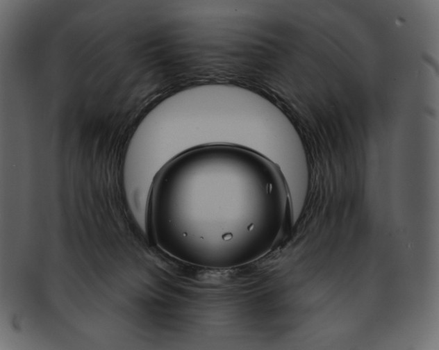 X0000092280084200710051151