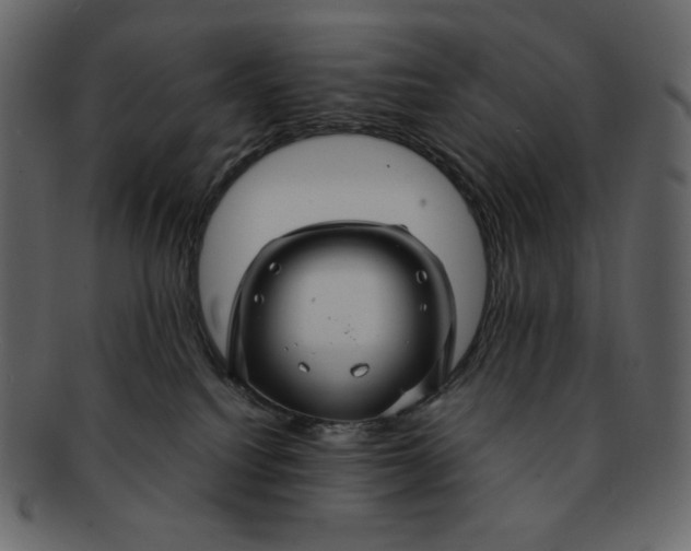 X0000092280088200710051151