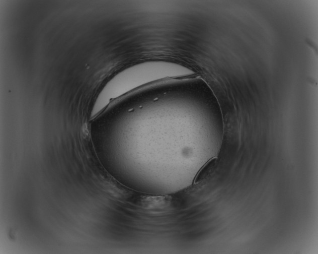 X0000092280089200710051151
