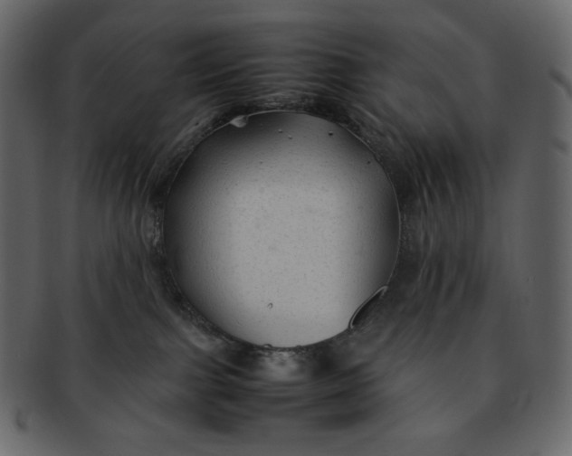 X0000092280091200710051151